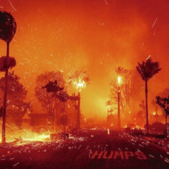 Пожары в Калифорнии: сгорели дома знаменитостей