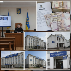 НАЗК выявило ложные декларации депутатов из Закарпатья, Черниговской и Черкасской областей