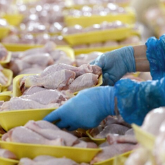 Курятина в супермаркетах України: огляд цін