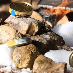 Ціни на рибні консерви в Україні