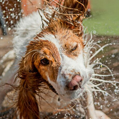 Синоптик Діденко прогнозує спеку до +36 градусів
