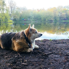 Дощі з грозами та +35 на термометрі