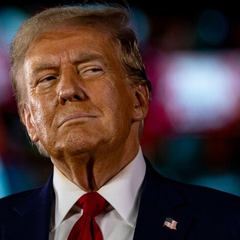 Трамп несе покарання США «Залізним куполом»