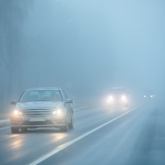 Аномальне тепло на вихідні