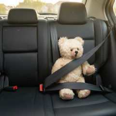 Штраф за непристебнутого пасажира