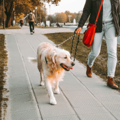 Перепади температури та ожеледиця