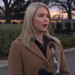 Мирний план України у Женеві