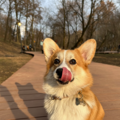 Атмосферний фронт в Україні