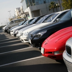 Kyiv and Lviv Region: auto market
