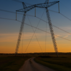 Auctions for electricity imports