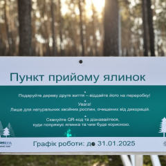 Пункти прийому ялинок у Києві