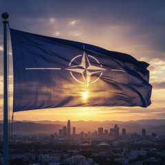 НАТО розглядає український досвід дронів