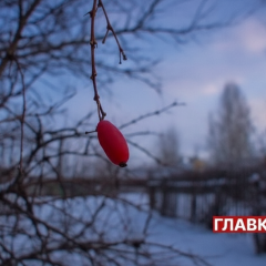 Гололед и метель в Украине