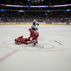Lukashenko falls on the ice of the match