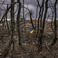Готовность украинцев к компромиссу