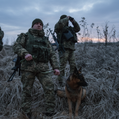 Затримання порушників на кордоні