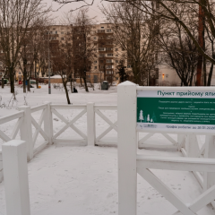 Пункти утилізації ялинок у Києві