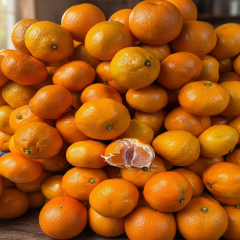 Продуктовий ярмарок у Києві