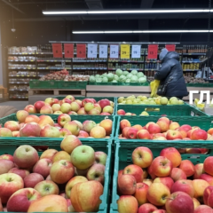 Apple export from Ukraine