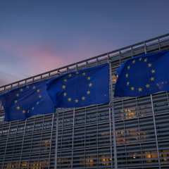EU protects the border with drones