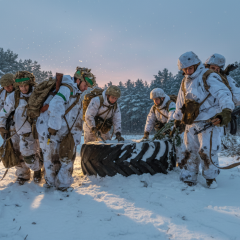 Боевые статистики 7 января