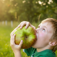 High apple prices