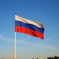 Націоналізація майна в Росії 2025