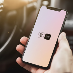The algorithm determines the customs clearance of cars