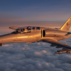 Боевые самолеты L-159 ALCA для Украины