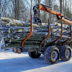 Consumer activity on the Ukrainian firewood market