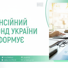 Chart of Pension Fund financing in January