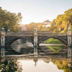 8 unique Tokyo tours