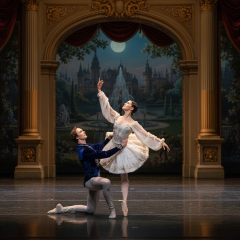Ukrainian ballerina in Swan Lake