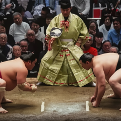 Ukrainian sumo wrestler during tournament