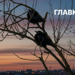 Збій моніторингу повітря в Києві