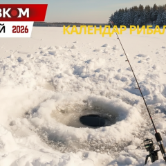 Fishing in February 2026: favorable days, fish activity, and fine sizes