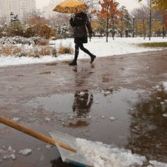 Weather in Ukraine: thaw up to +14
