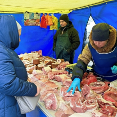 Schedule of agricultural fairs in Kyiv