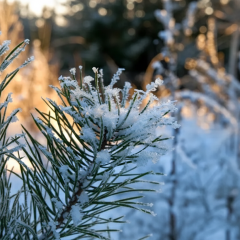 Extreme cold of -25°C in Ukraine