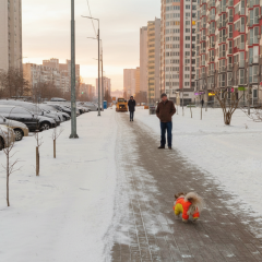 Прогноз погоди на 5 лютого