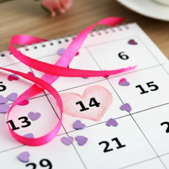 Saint Valentine's Day - Plush Toy Day
