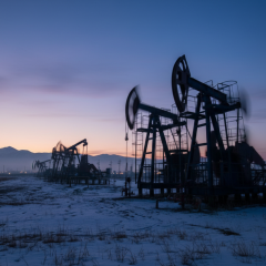 Import of Russian oil to India