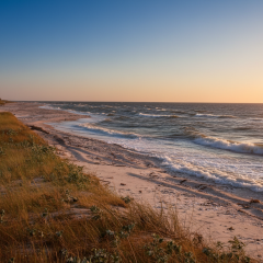 Ukraine lost marine reserves due to Russian aggression