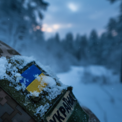 Assistance to fallen soldiers
