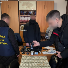 Detained Zaporizhzhia lawyer in court