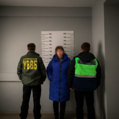 Kyiv residents with illegal surrogacy