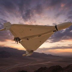 Shahids as carriers for FPV drones
