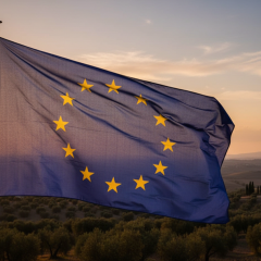 Military goods from EU go to Russia through third countries