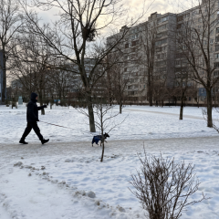 Киев в смоге: районы и меры