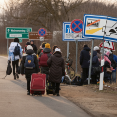 International registry of losses for forced migrants